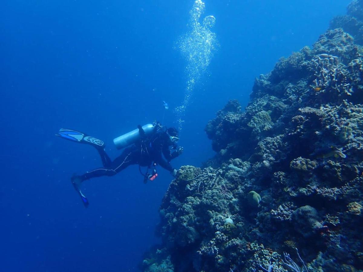 Love'S Beach & Dive Resort Moalboal Dış mekan fotoğraf